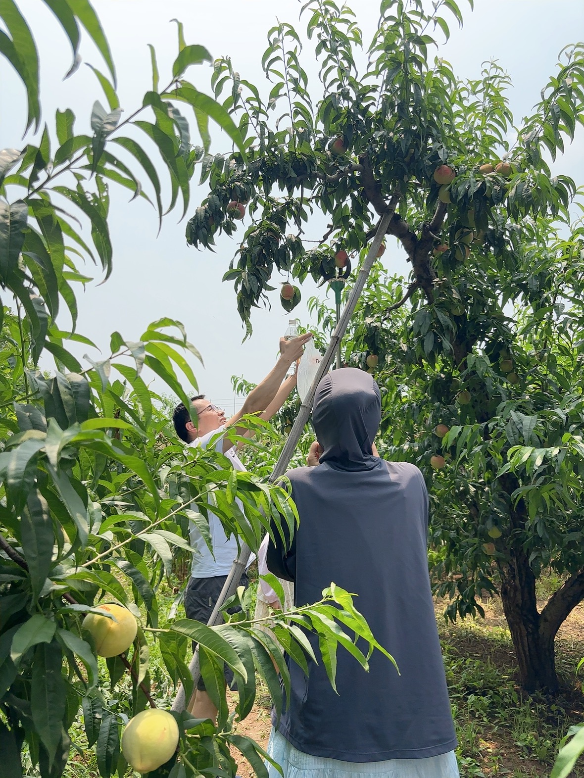 Attività di team building di Beijing Zhongping — Abbracciare la natura3