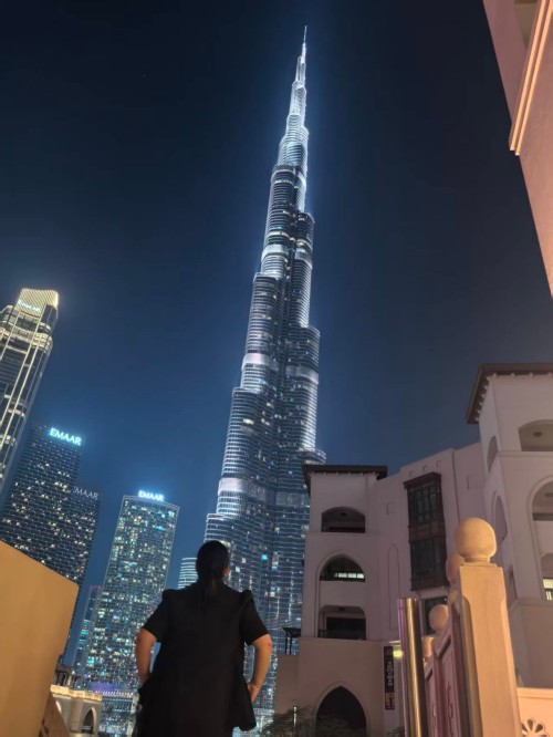 Coltivazione profonda, potenziando il futuro: una cronica della tecnologia Zhongping' Viaggio industriale in Medio Oriente6