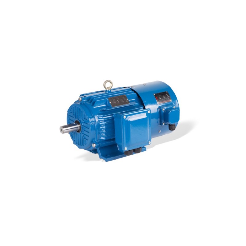 Motore per inverter VFD GESHI YVF2 0.55-315kW IP54